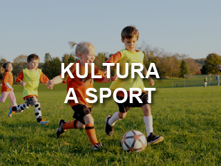 Nikol Aulíková nabízí práci na pozici Maséři (kromě odborných masérů ve zdravotnictví) (M/Ž) v obci Třebíč