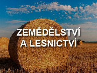 PRACOVNÍK V ZEMĚDĚLSTVÍ (M/Ž), Jaroměřice nad Rokytnou