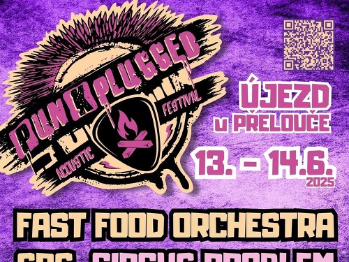 Plakát události PUNKPLUGGED FESTIVAL vol. 3