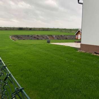 Založení nového trávníku, oprava vzrostlého trávníku