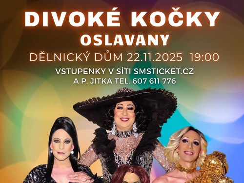 Plakát události Travesti show Divoké kočky v Oslavanech