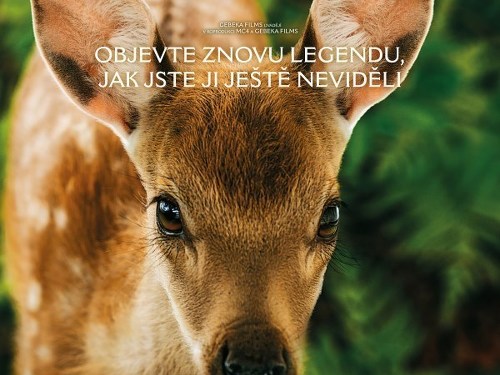 Plakát události Bambi: Příběh života z lesů