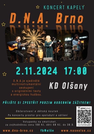 Plakát události Koncert kapely D.N.A.