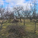PeMaRa