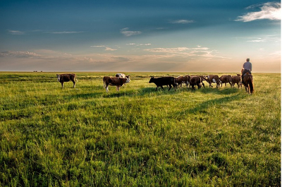 Plakát události Mongolsko – země nekonečných stepí