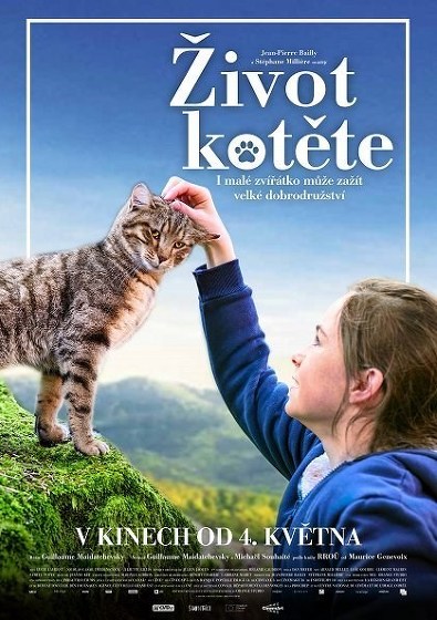 Plakát události Život kotěte