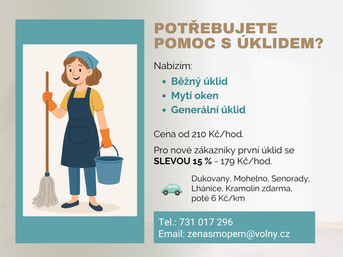 Nabízím úklid v domácnostech