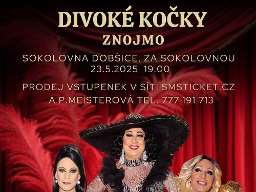 Plakát události Travesti Divoké kočky ve Znojmě