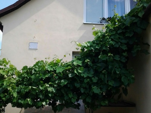 Prodej rodinného domu 345 m², pozemek 324 m²