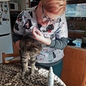 LUCKA JEDE - veterinární výjezdovka