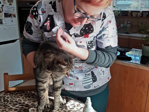 LUCKA JEDE - veterinární výjezdovka