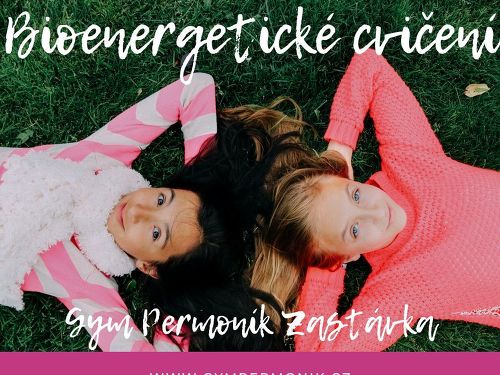 Plakát události Bioenergetické cvičení
