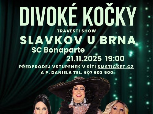 Plakát události Travesti Divoké kočky Slavkov u Brna
