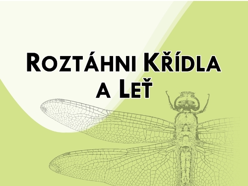 Plakát události Výstava: Roztáhni křídla a leť