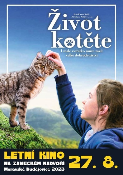 Plakát události Letní kino: Život kotěte
