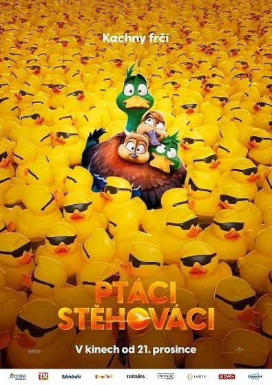 Plakát události Ptáci stěhováci