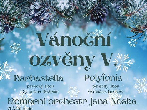 Plakát události Vánoční ozvěny V.