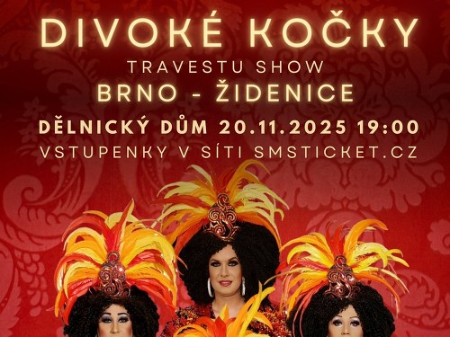 Plakát události Travesti Divoké kočky v Brně