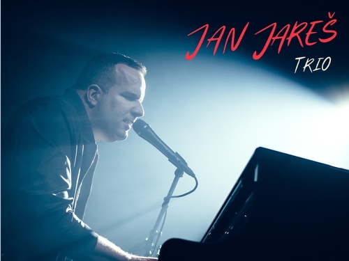 Plakát události Koncert Jana Jareše na Konopišti