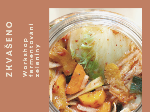 Plakát události Workshop - fermentování potravin