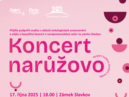Plakát události Koncert narůžovo - Pink October
