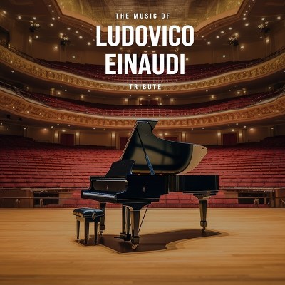 Plakát události Ludovico Einaudi Music | Plzeň