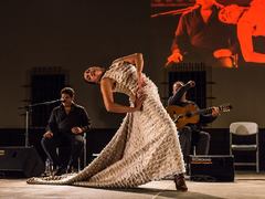 SOUTĚŽ: Za kulturou i do Brna! Vyhrajte lístky na jedinečnou Noc flamenca