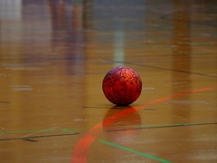 Třebíč chce za dvaačtyřicet milionů korun opravovat sportovní halu