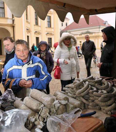 Svatomartinské slavnosti Slavkov_1.jpg