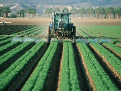 Nová studie zjišťuje hladinu pesticidů v české populaci. Zapojit se můžete i vy