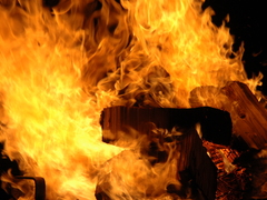 Toxique a ohňové show na festivalu Flaming Nights 