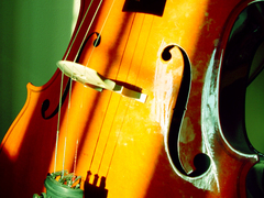 Prague Cello Quartet předvedou v Kuřimi jazz i rock v podání čtyř violoncell