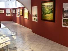 OBRAZEM: Draví ptáci i krajinomalby. Muzeum ve Šlapanicích připravilo dvě nové výstavy