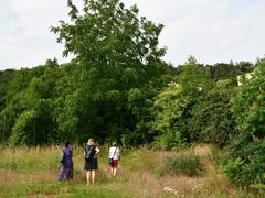 FOTO: V Boskovicích začala obnova hřiště U školičky