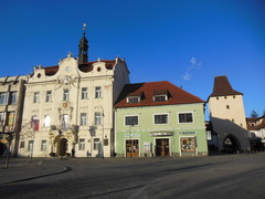 Berounská charita slaví výročí 30 let výstavou. K vidění je v galerii Pěší zóna