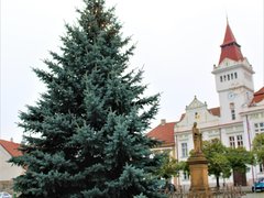 FOTO: Na náměstích v Brandýse – Staré Boleslavi již stojí vánoční stromy