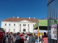 Rosice v září přivítají 16. ročník Česnekovek. Letos akci oživí novinky a změny