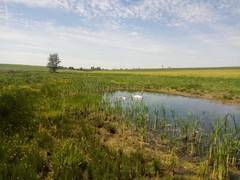 FOTO: Mezi letošními vítězi krajské soutěže Cena za krajinu jsou projekty z Mikulova i Novosedel