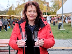 OBRAZEM: Sklenka plná tradic, příběhů a lokálních chutí. Kuřim oslavila svátek vína