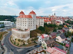 Muzea získala podporu pro své projekty. Muzeum Mladoboleslavska chystá projekt o Bedřichu Smetanovi