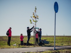 Veselí nad Moravou vysadí více než 7 tisíc nových dřevin. Mají zadržet vodu v krajině