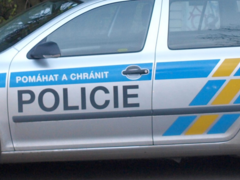 Pozor na falešné hendikepované