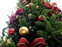 Berounské adventní trhy chystají překvapení. Vizualizace již nyní odhaluje modernější podobu prostoru