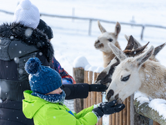 Farmapark Soběhrdy přináší celoroční zábavu pro celou rodinu