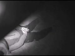Zdrogovaný řidič se ukrýval v Holasicích. Policisté ho vypátrali díky nočnímu vidění