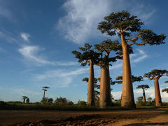 Výstava fotografií z Madagaskaru se připravuje v třebíčské knihovně  
