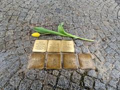 Ničím se neprovinili, přesto museli zemřít. Berouňanům připomíná zabité Židy dalších devět Stolpersteinů
