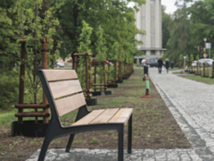 Slavnostní sázení aleje v Poděbradech. Tyršovy sady a sady S. K. Neumanna byly osvěženy mladými duby