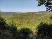 Pod Olešnou na území Blanska byla vyhlášena nová přírodní rezervace Nad Švédskou cestou