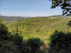 Pod Olešnou na území Blanska byla vyhlášena nová přírodní rezervace Nad Švédskou cestou